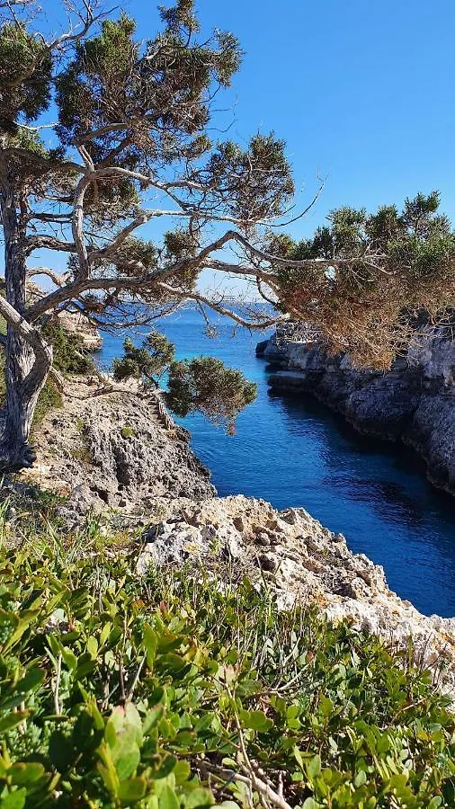 Сasa de vacaciones Villa Sirena Cala'N Blanes